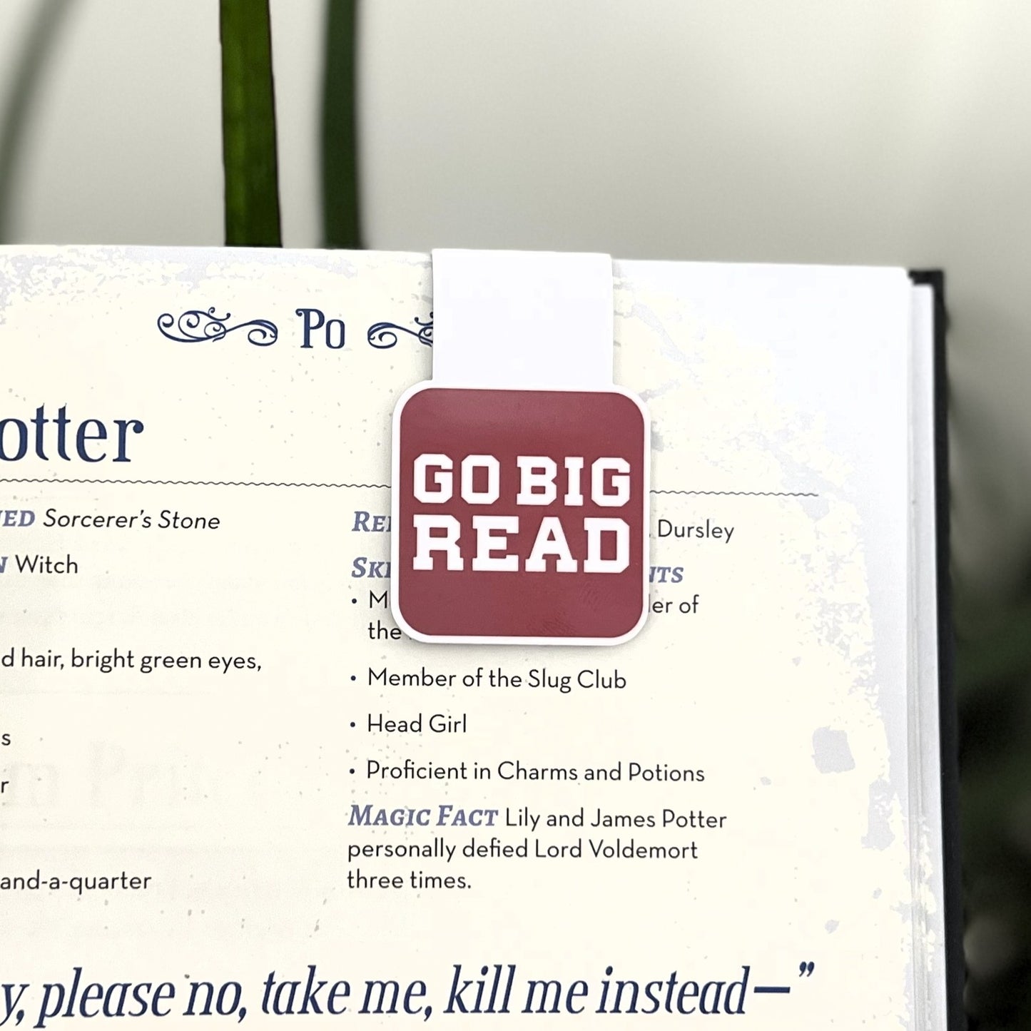Go Big Read! | Magnetic Bookmark | Sports Fans Book Lovers