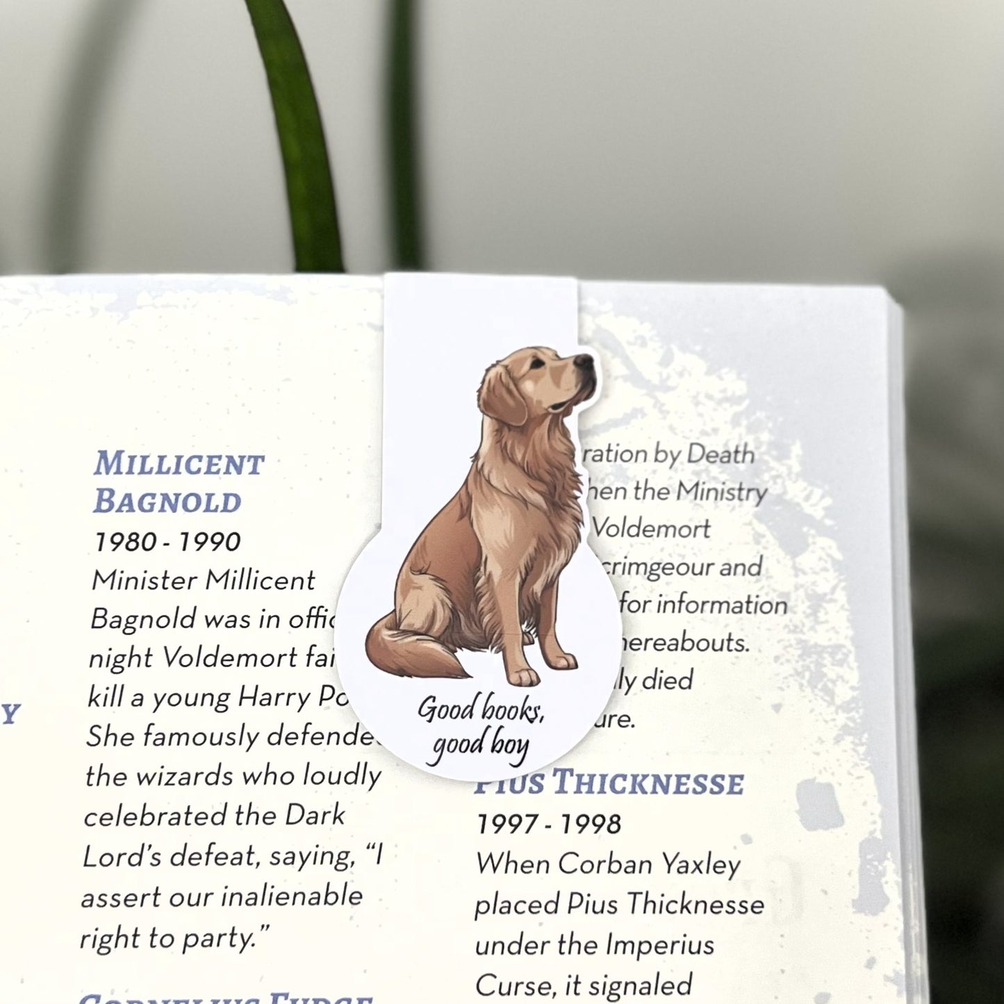 Good Books, Good Boy Magnetic bookmark
