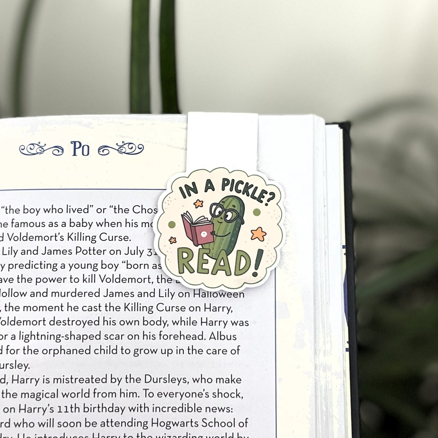 In a Pickle? Read! | Magnetic Bookmark | Cute pickle illustration