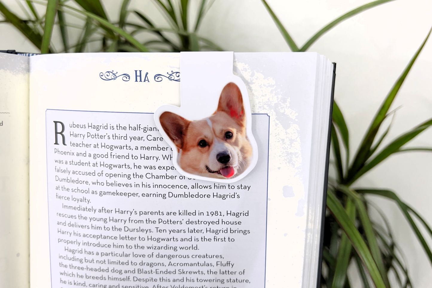 Custom Pet Photo Magnetic Bookmark | Personalized Pet Gift